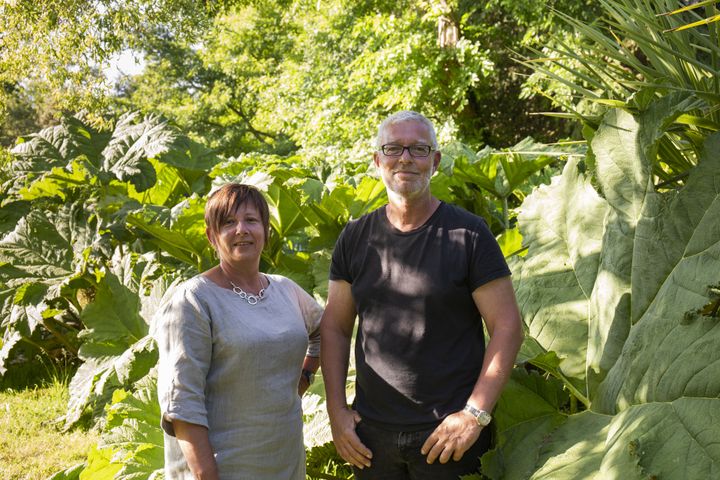 Isabelle Bazire et Thierry Jeanne, devant l'énorme gunnère de leur Jardin de la Poterie, dans le Cotentin.&nbsp; (ISABELLE MORAND / BRUNHILD JEANNE / RADIO FRANCE / FRANCE INFO)