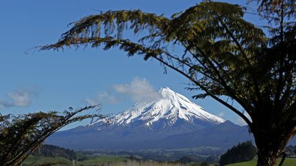 Un programme local a déjà été lancé autour du mont Taranaki pour éradiquer les petits prédateurs mammifères, mais le gouvernement néo-zélandais a dévoilé un programme de grande ampleur, à l'échelle du pays. (BOGDAN CRISTEL / REUTERS)