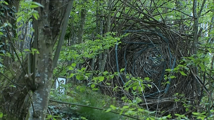 L'une des oeuvres exposées à Courzieu
 (France 3 / Culturebox capture d&#039;écran)