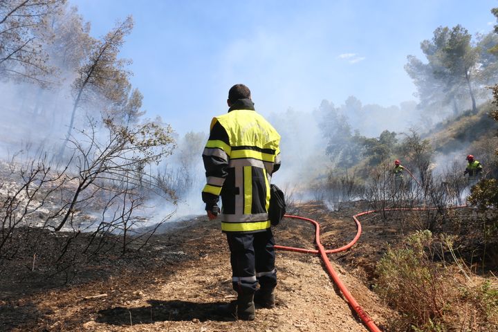 Fabrice Carboni sur les lieux d'une reprise de feu à la Gacharelle, à Martigues (Bouches-du-Rhône), le vendredi 26 juillet. (VALENTINE PASQUESOONE/FRANCEINFO)