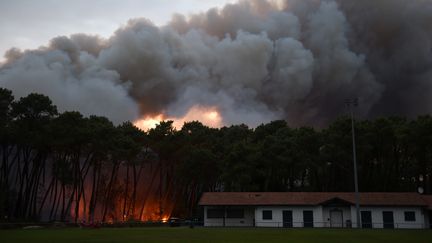 Un incendie à&nbsp;Anglet (Pyrénées-Atlantiques), le 30 juillet 2020.&nbsp; (GAIZKA IROZ / AFP)