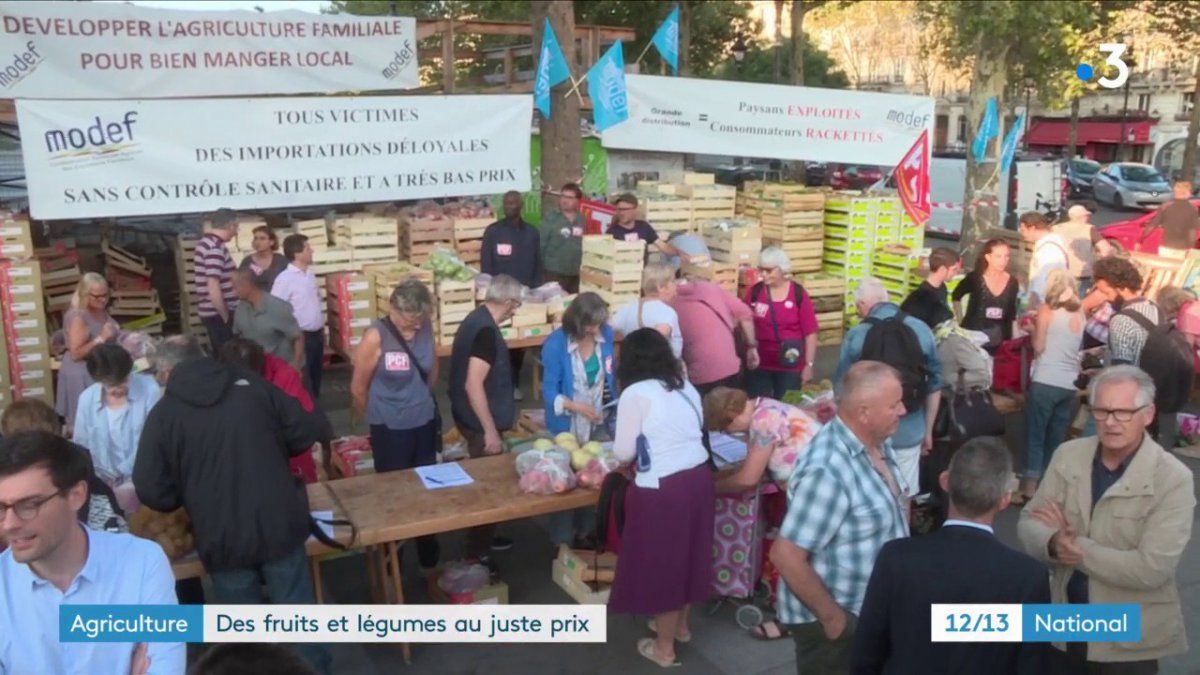 Étal Fruits Et Légumes SUPÉRETTE Etal Ferme Campagne - Fournisseur Nº1