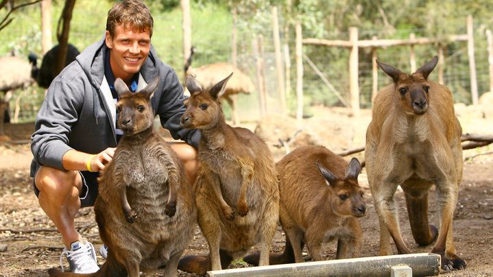 Tomas Berdych pose avec des kangourous, le 24 janvier 2011, &agrave; Melbourne (Australie). (ROBERT PREZIOSO / GETTY IMAGES ASIAPAC)