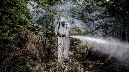 Pourtant dès 2020, la FAO a lancé une campagne d'intervention dans ces pays et mis plusieurs stratégies en place pour cette lutte antiacridienne, la pire du pays depuis 25 ans : pesticides, surveillance aérienne et terrienne. "La FAO estime que près de 2,7 millions de tonnes de céréales ont été sauvées, représentant une valeur de 800 millions de dollars. Mais plusieurs centaines de milliers d'hectares ont déjà été endommagés", précise "La Tribune Afrique". La riposte initiale a souffert d'une mauvaise coordination, d'un manque de pesticides et d'avions pour les épandre, selon Cyril Ferrand, cité par l’AFP.&nbsp; &nbsp; &nbsp; &nbsp; (LUIS TATO /FAO / LATIN AMERICA NEWS AGENCY VIA REUTERS CONNECT)