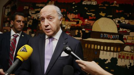 Laurent Fabius &agrave; l'a&eacute;roport Ben Gourion pr&egrave;s de Tel-Aviv, samedi 19 juillet 2014. (GALI TIBBON / AFP)