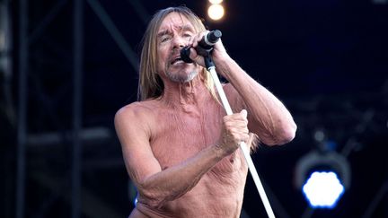 Iggy Pop est l'une des têtes d'affiches de Rock en Seine 2016. 
 (Ed Stone/Shutterstock/SIPA)