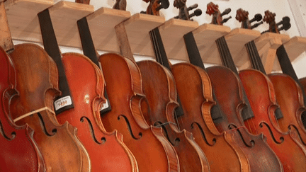 Les violons en manque de bois
 (France 2 Culturebox - capture d&#039;écran)