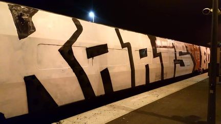 &nbsp;Les passagers&nbsp;se sont reportés sur un TER pour se rendre&nbsp;à Paris. (DR)