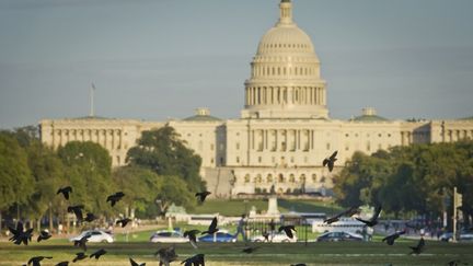 Le Capitole, si&egrave;ge du Congr&egrave;s am&eacute;ricain, &agrave; Washington (Etats-Unis), le 14 octobre 2013. (MLADEN ANTONOV / AFP)