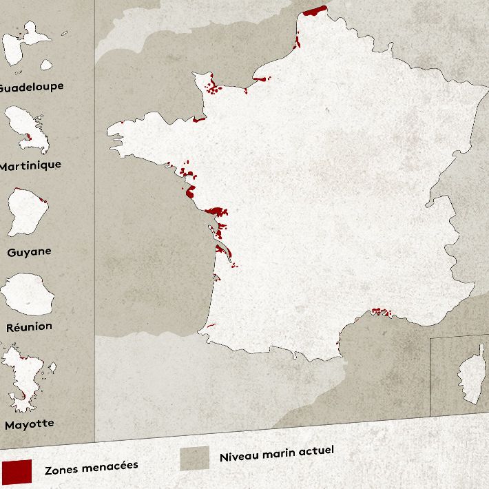 La carte de France des zones menacées par la montée des eaux à horizon 2100. (JESSICA KOMGUEN, ELLEN LOZON / FRANCEINFO)