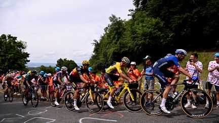 Les coureurs du 108e Tour de France abordent les premières montées avec des gros pourcentages. (ANNE-CHRISTINE POUJOULAT / AFP)