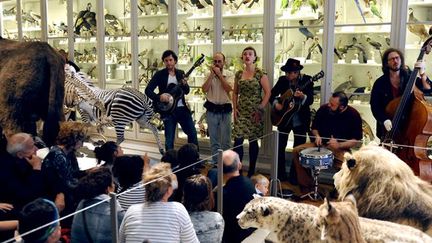 Moriarty, en concert dans le Museum d&#039;histoire naturelle
 (Xavier Leoty/AFP)