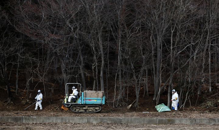 Opération de décontamination&nbsp;aux abords d'une forêt de Tomioka,&nbsp;dans la préfecture de Fukushima, le 24 février 2015. (TORU HANAI / REUTERS)