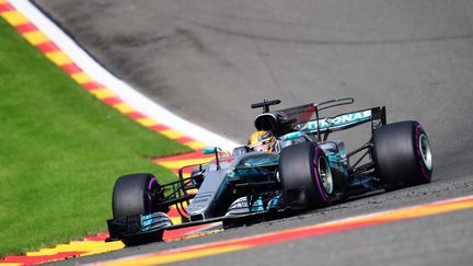 Lewis Hamilton (Mercedes) sur le toboggan des Ardennes (EMMANUEL DUNAND / AFP)