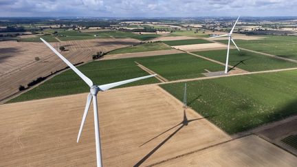 Des éoliennes dans un champ de l'Anjou, dans le Maine-et-Loire, le 20 juillet 2022. (MARTIN BERTRAND / HANS LUCAS / AFP)