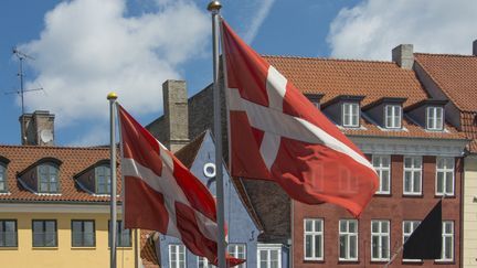 Les fameuses façades colorées et les drapeaux du Danemark,&nbsp;le long du canal de Nyhavn, à Copenhague. Le&nbsp;peuple danois&nbsp;va-t-il se prononcer pour devenir plus européen ? (Illustration) (PAUL BIRIS / MOMENT RF / GETTY IMAGES)