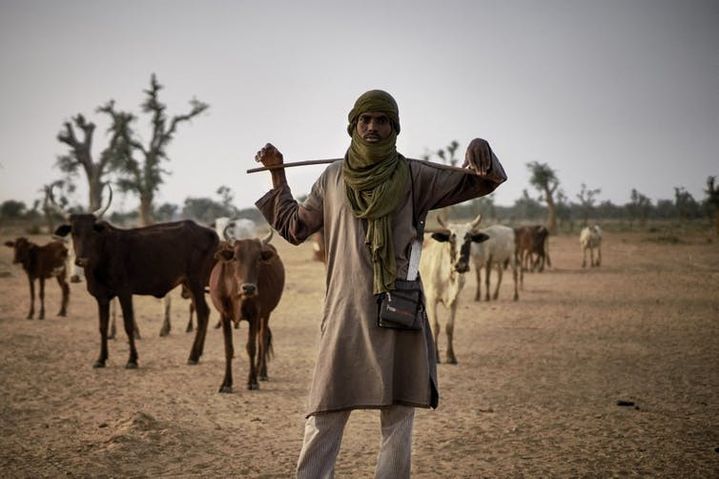 At the heart of the life of the region, agriculture is a key element for the transformation of the area.  (Michèle Cattani / AFP)