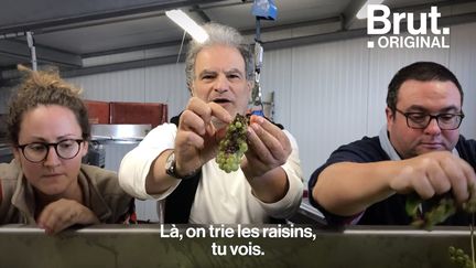 VIDEO. Sensible à la cause animale,&nbsp;Raphaël Mezrahi&nbsp;a créé un champagne 100 % vegan
 (BRUT)