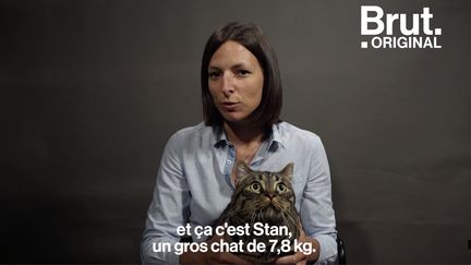 Un tiers des chats sont trop gros. C'est un sujet très sérieux qu'étudie Charlotte, vétérinaire nutritionniste. Voilà ce que risquent les chats obèses...