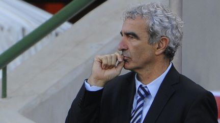 Raymond Domenech, lors du match France-Afrique du Sud, le 22 juin 2010 en Afrique du Sud. (GIANLUIGI GUERCIA / AFP)