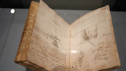 Les dessins techniques de la machine volante de Léonard de Vinci, exposés au Louvre, le 23 octobre 2019. (FRANCOIS GUILLOT / AFP)