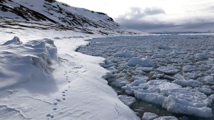 Une île de l'archipel&nbsp;François-Joseph (Russie). (VERA KOSTAMO / SPUTNIK / AFP)