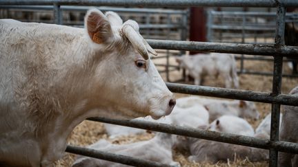 Le monde rural attire toujours plus d'urbains