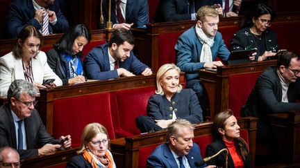 The leader of the National Rally deputies, Marine Le Pen, at the National Assembly, November 14, 2023. (XOSE BOUZAS / HANS LUCAS / AFP)