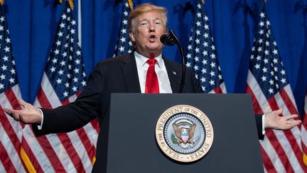 Le président américain, Donald Trump, le 17 mai 2019 à Washington. (SAUL LOEB / AFP)