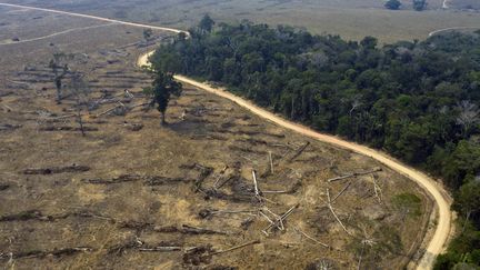 Des&nbsp;zones brûlées de la forêt amazonienne près de Porto Velho, dans l'État de Rondonia au Brésil, le 24 août 2019. Photo d'illustration. (CARLOS FABAL / AFP)