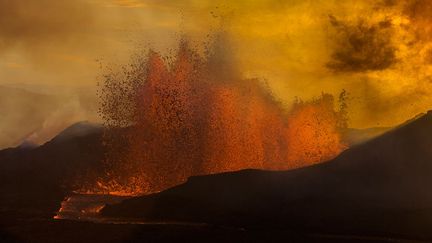 ... (Yann Arthus-Bertrand)