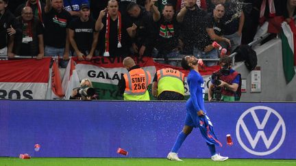 L'attaquant anglais Raheem Sterling célèbre son but face aux supporters hongrois le 2 septembre 2021. (ATTILA KISBENEDEK / AFP)