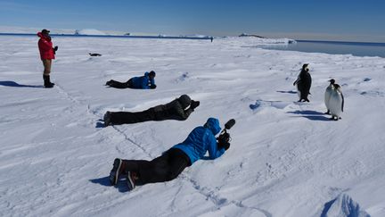 &nbsp; (L'équipe en train de filmer et photographier des manchots empereurs sur la banquise, en Antarctique © Copyright Cédric Gentil)