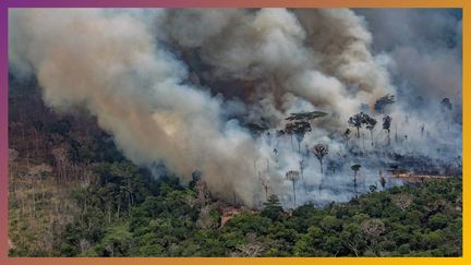 L'Amazonie brûle-t-elle plus qu'avant ? (RADIOFRANCE)