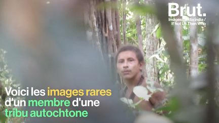 Ils vivent isolés dans la forêt amazonienne, et leur tribu a été identifiée comme l'une des plus menacées au monde.