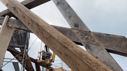 À Briey, en Meurthe-et-Moselle, des charpentiers travaillent à la reconstruction du socle de la flèche de Notre-Dame. Un travail qui demande une grande minutie. Reportage. (France 2)