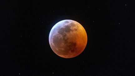 La lune a pris des teintes bleutées, le 21 janvier 2019,&nbsp;à&nbsp;Miami (Floride, Etats-Unis), comme dans les autres zones où l'éclipse lunaire était visible. (GASTON DE CARDENAS / AFP)