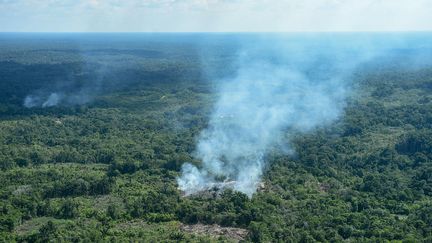 Incendies en Amazonie : le poumon de la planète dévasté