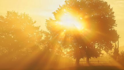 Lever de soleil dans le Maine-et-Loire, en août 2022. (AURELIEN BREAU / MAXPPP)