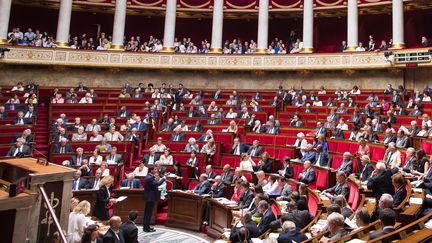 Les d&eacute;put&eacute;s &agrave; l'Assembl&eacute;e nationale lors de la s&eacute;ance des questions au gouvernement, le 23 juillet 2014. (MAXPPP)