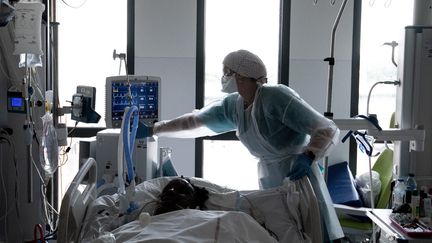 Un membre du personnel médical s'occupe d'un patient Covid-19 sous assistance respiratoire, dans une chambre du service de réanimation du centre hospitalier universitaire (CHU) Pierre Zobda-Quitman de Fort-de-France, sur l'île française de la Martinique, dans les Caraïbes, le 29 août 2021. (ALAIN JOCARD / AFP)