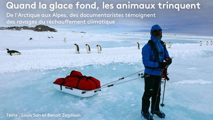 Un membre de l'expédition organisée par le réalisateur Luc Jacquet et son association Wild Touch pour le tournage du documentaire "Antarctica" traîne son matériel sur la glace de l'Antarctique en 2015. (LUC JACQUET / EXPEDITION WILD TOUCH ANTARCTICA / FRANCEINFO)