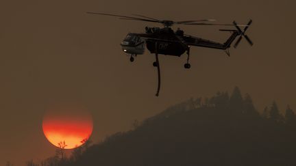 Un hélicoptère des pompiers devant le soleil qui se lève, alors que l'incendie continue de se répandre le 24 juillet 2022 à Mariposa, en Californie. La lutte contre les feux est soutenue par 17 hélicoptères. (DAVID MCNEW / AFP)