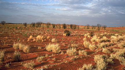 &nbsp; (C'est dans ce type de paysages de l'outback australien que se situe la propriété de Sir Kidman © MaxPPP)