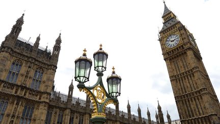 Le Palais de Westminster en état de délabrement
 (Miguel Medina (AFP))