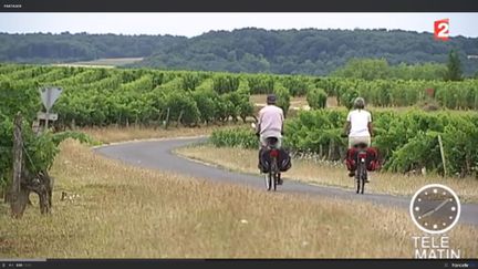 Faire du vélo, même en ville, est bon pour la santé