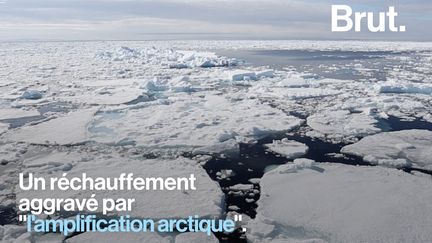 Cette année, il y a fait en moyenne 1,9°C de plus qu'entre 1981 et 2010.