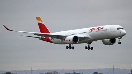 An Iberia airline plane, in Toulouse (Haute-Garonne), December 6, 2023. (URBANANDSPORT / NURPHOTO / AFP)