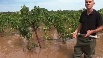 Orages : des inondations en pleine période de vendanges dans les vignobles du Gard (FRANCE 3)