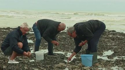 Les premières grandes marées de l'automne ont débuté et se poursuivront jusqu'à samedi 9 octobre. De la mer du Nord à la Manche, les forts coefficients attirent les curieux.&nbsp; (CAPTURE D'ÉCRAN FRANCE 3)